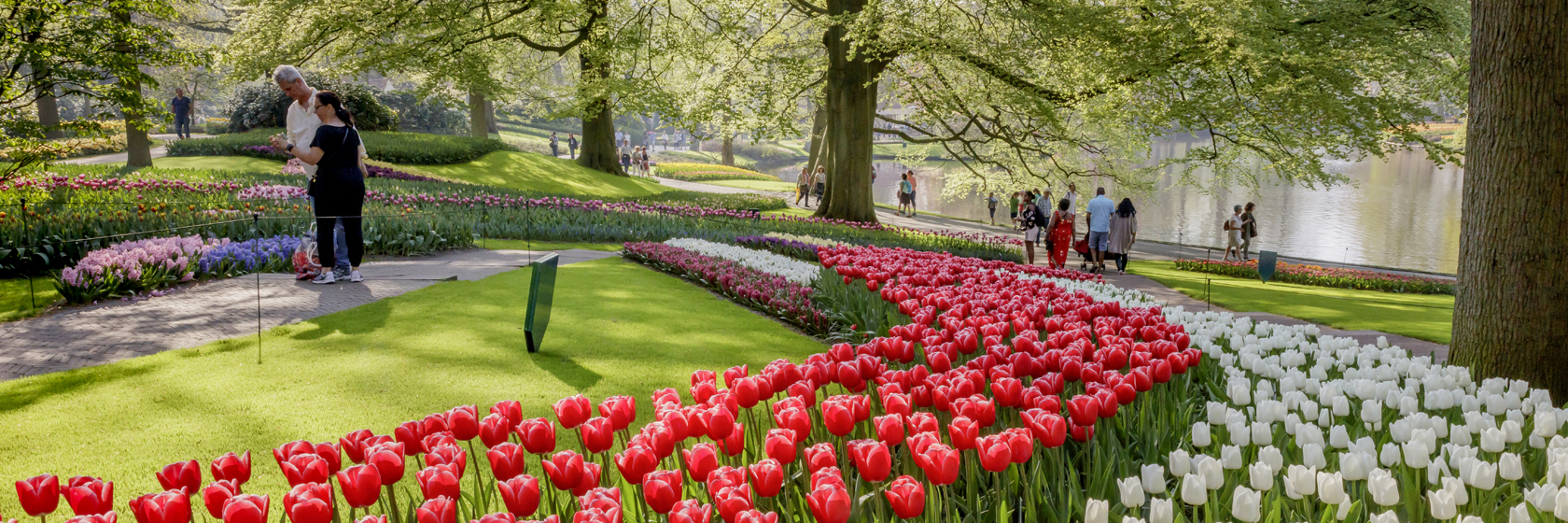 Hollands blommor & Amsterdam 24/4